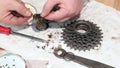 A man places balls on the lubricated inner case of a mountain bike rear wheel ratchet. Do-it-yourself mountain bike repair at home