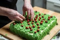 man placing fondant ladybugs on cake with green icing hedges