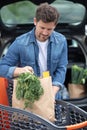 man placing shopping bags in car Royalty Free Stock Photo
