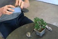 A man placing a wire for repotting bonsai