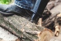 Man in plaid shirt sawing piece of wood on stump Royalty Free Stock Photo