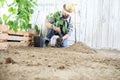 Man plant out a seedling in the vegetable garden, work the soil with the garden spade, near wooden boxes full of green plants