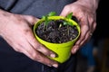 A man planting apple seeds in the pot on the balcony Royalty Free Stock Photo