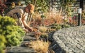 Man Planting Flower Bulbs In Garden In Springtime Royalty Free Stock Photo