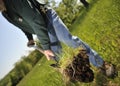 Man planting tree Royalty Free Stock Photo