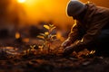 A man planting a tree with care and dedication. Small plant growing out of the dirt Royalty Free Stock Photo