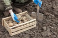 A man plants potatoes in a farmer`s field. A shovel and a box of potato seeds