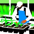 A man plants seedlings in a greenhouse