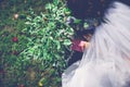 Man plants a tree