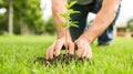 A man plants a young tree in the garden. Earth day banner, farming, gardening Royalty Free Stock Photo