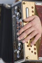 Man is playing on beautiful old harmonica accordion in winter nature Royalty Free Stock Photo