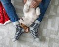 Man playing with cute Jack Russell Terrier dog on carpet. Cozy winter Royalty Free Stock Photo