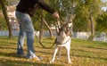 Man playing with the dog in the park Royalty Free Stock Photo