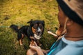 A man playing with a dog together on grass. Pet, Family, Friendship concept