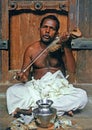 Man playing instrument Nagaveena at Hindu Festival, Mannarasala Sree Nagaraja Temple Mannarasala, Haripad, Kerala Royalty Free Stock Photo