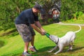 Man playing tug of war w American bulldog dog pet