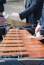 Man playing vibraphon Royalty Free Stock Photo