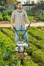 Man plowing beds with walking tractor Royalty Free Stock Photo