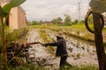 A man plows a village rice field on Java after harvesting with a plow Royalty Free Stock Photo