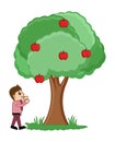 Man Plucking Fruits from Tree Vector Illustration Royalty Free Stock Photo