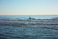 Man plunged in the sea fishing and collects tellines or clams or other seafood on a winter day