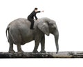 Man with pointing finger riding elephant walking on tree trunk