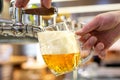 A man pouring draft lager beer into a dimpled glass mug  in a modern pub Royalty Free Stock Photo