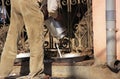 Man pouring milk for rats, Karni Mata Temple, Deshnok, India Royalty Free Stock Photo
