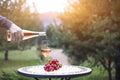 Man pouring rose wine to the glass in autumn vineyard on marble table Royalty Free Stock Photo