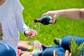 Man pouring woman a glass of red wine at picnic Royalty Free Stock Photo