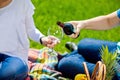 Man pouring woman a glass of red wine at picnic Royalty Free Stock Photo