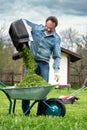 Man pours cut grass out of a lawnmower container into a wheelbarrow Royalty Free Stock Photo