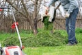 Man pours out of the trimmed grass under a tree to fertilize the soil