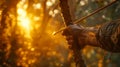 Man practicing archery at sunset. Royalty Free Stock Photo