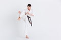 Man practicing karate Royalty Free Stock Photo