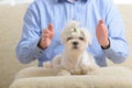 Man practicing reiki therapy