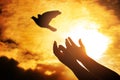 Man praying and free bird enjoying nature on sunset, Human raising hands. Worship christian religion. silhouette pigeon flying