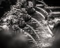 A man praying at The tirta empul fountains in bali