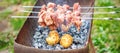 Man prepares barbecue meat with potatoes Royalty Free Stock Photo