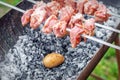 Man prepares barbecue meat with potatoes Royalty Free Stock Photo