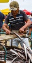 Man prepares freshly caught fish for market Royalty Free Stock Photo