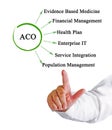 presenting Accountable Care Organizations