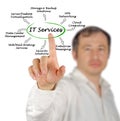 IT Services Royalty Free Stock Photo