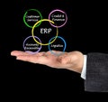 Components of ERP Royalty Free Stock Photo