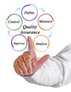 Components of Quality Assurance