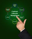 Presenting Contract Lifecycle Management Royalty Free Stock Photo