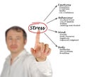 Diagram of stress consequences Royalty Free Stock Photo