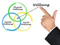 Diagram of wellbeing