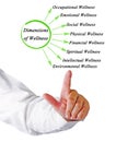 Dimensions of Wellness Royalty Free Stock Photo