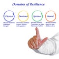 Domains of Resilience Royalty Free Stock Photo